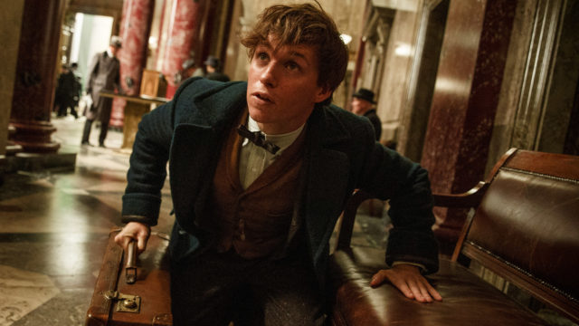FANTASTIC BEASTS AND WHERE TO FIND THEM