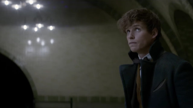 anglo_2000x1025_fantasticbeastseddie