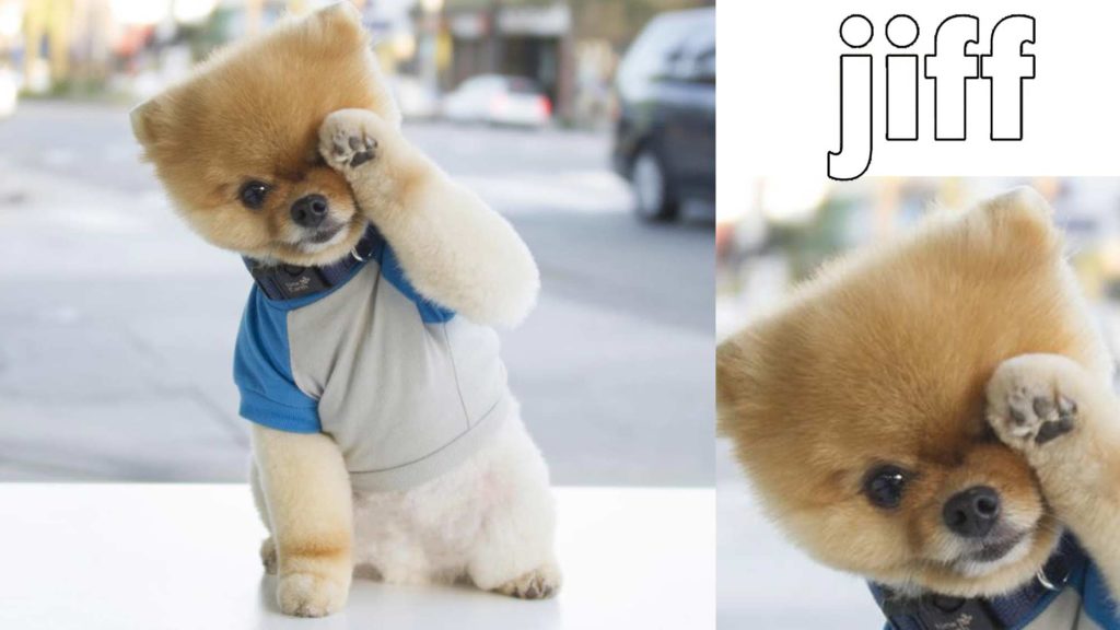 @jiffpom