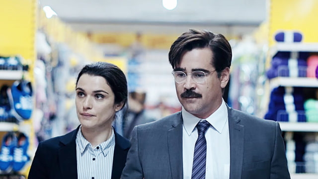 anglo_2000x1125_thelobster