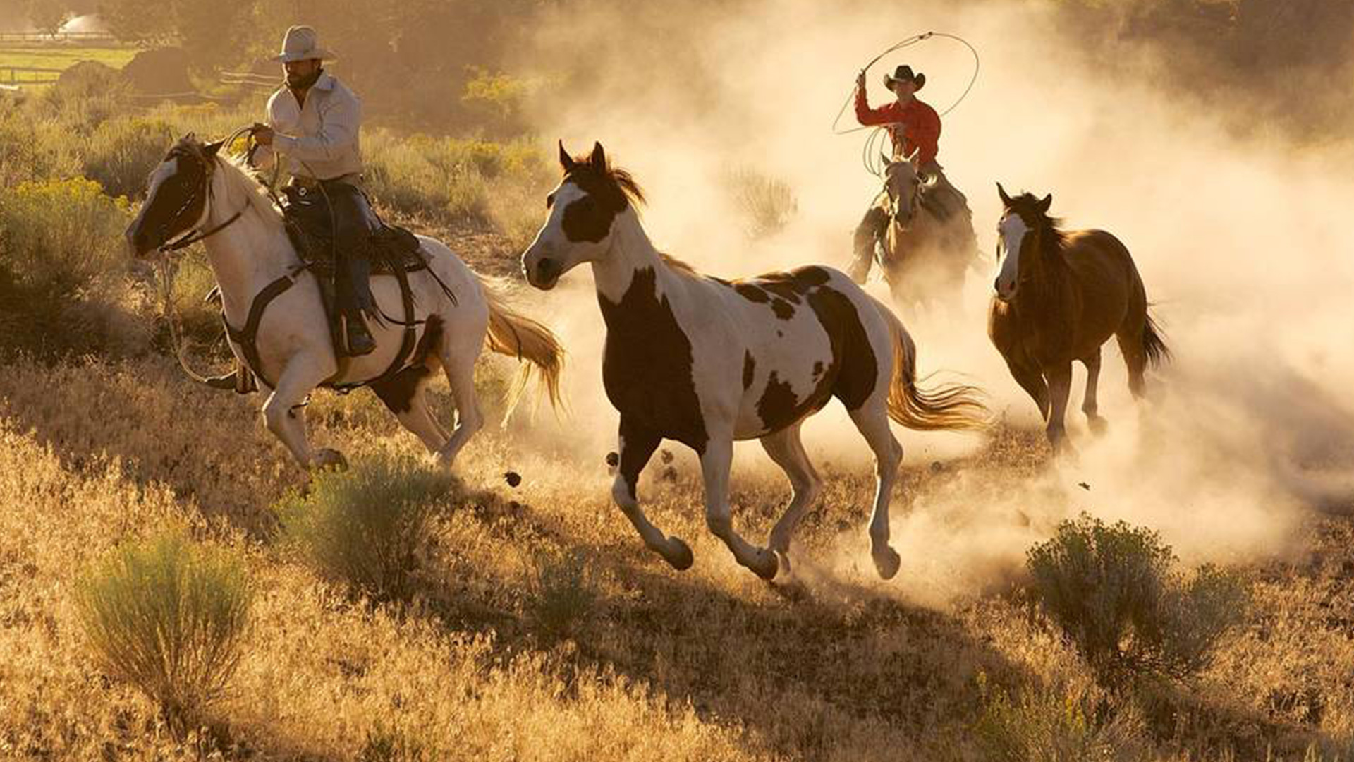 BBC America To Debut Three Part Documentary Series Wild West In 