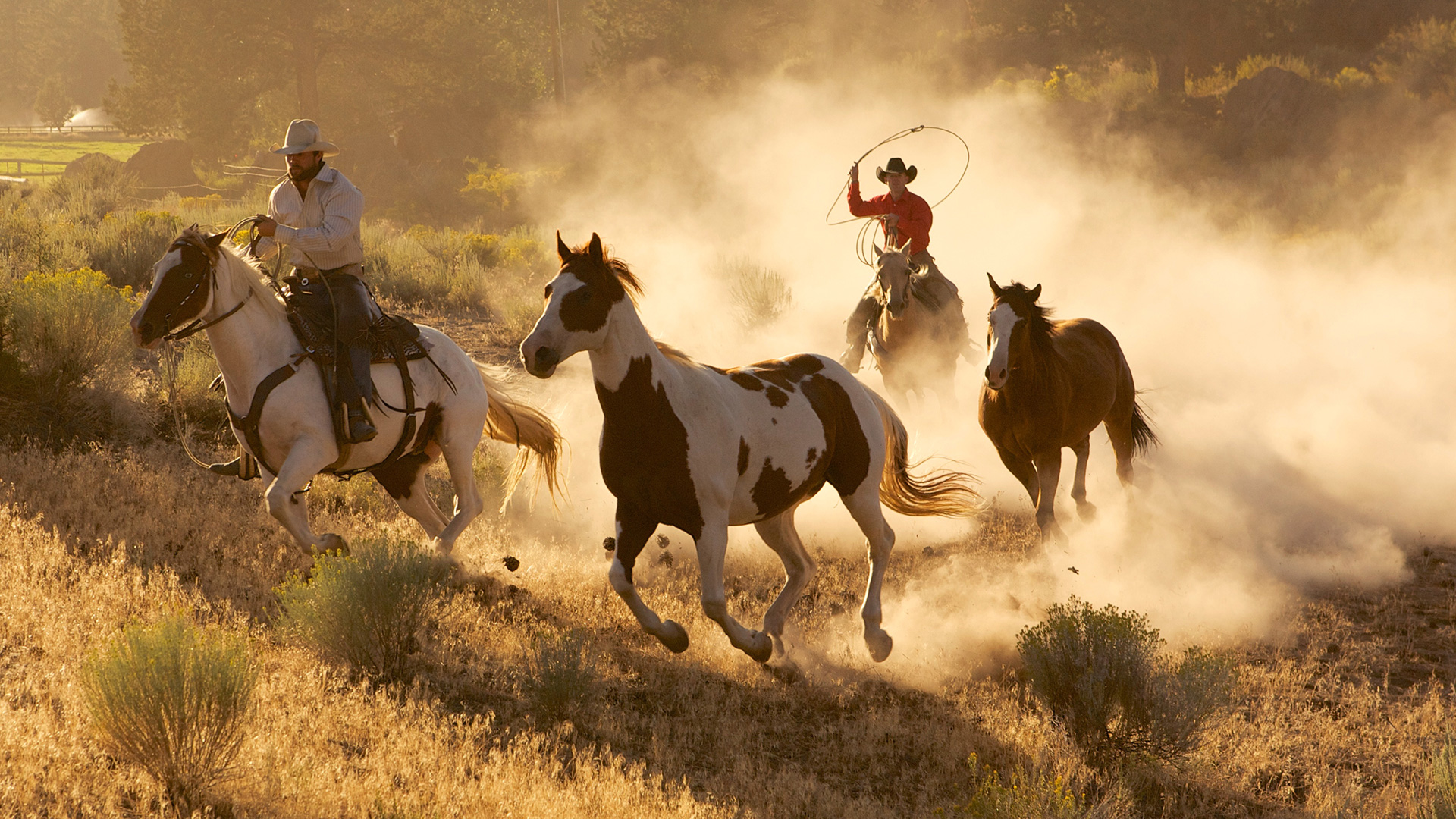 Wild West | BBC America