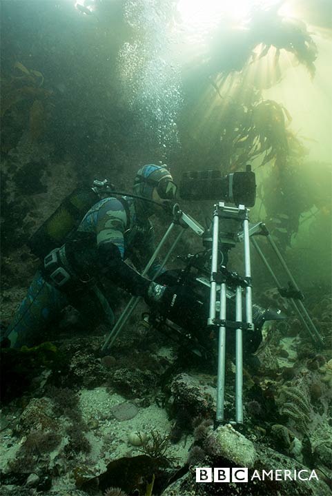 Tv Service Providers >> Behind-the-Scenes Photos: ‘Blue Planet II’ | BBC America Tv Service Providers >> Behind-the-Scenes Photos: ‘Blue Planet II’ | BBC America