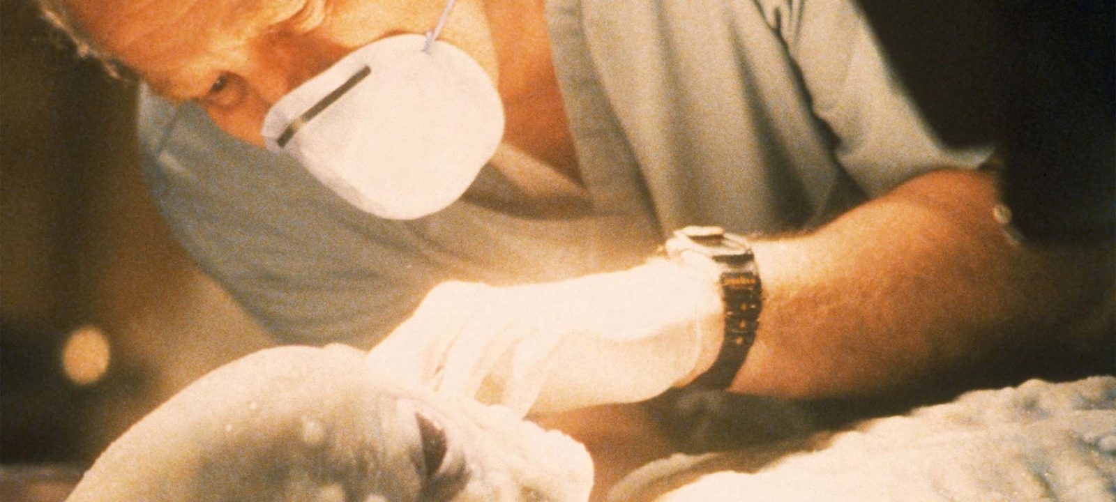 BBCA_Xfiles_424_1920x1080