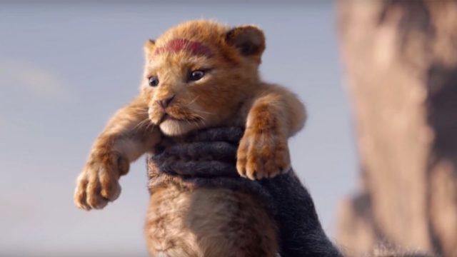 anglo_2000x1125_thelionking