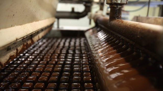 Lambertz Bakery Is Famous For Christmas Cookies