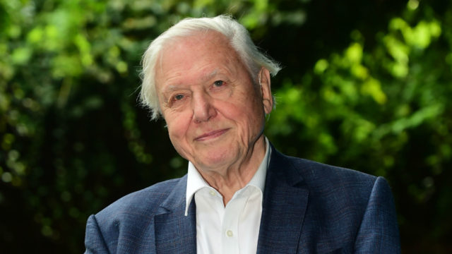 David Attenborough