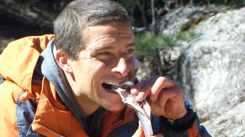 BBC_Man_vs_Wild_1_13_HDC3