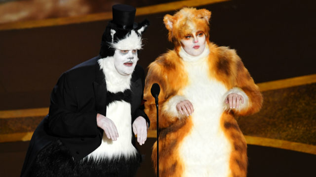 Cats