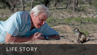 BBCA_LifeStory_320x180