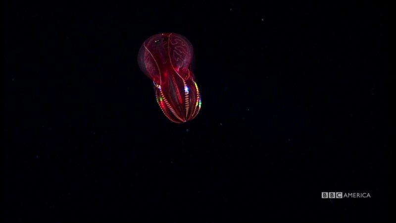 1741902915728_1590322871093_1920x1080_1742414915636