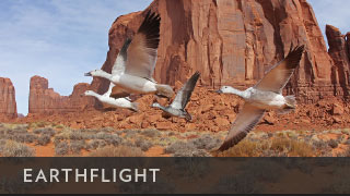 BBCA_Earthflight_320x180