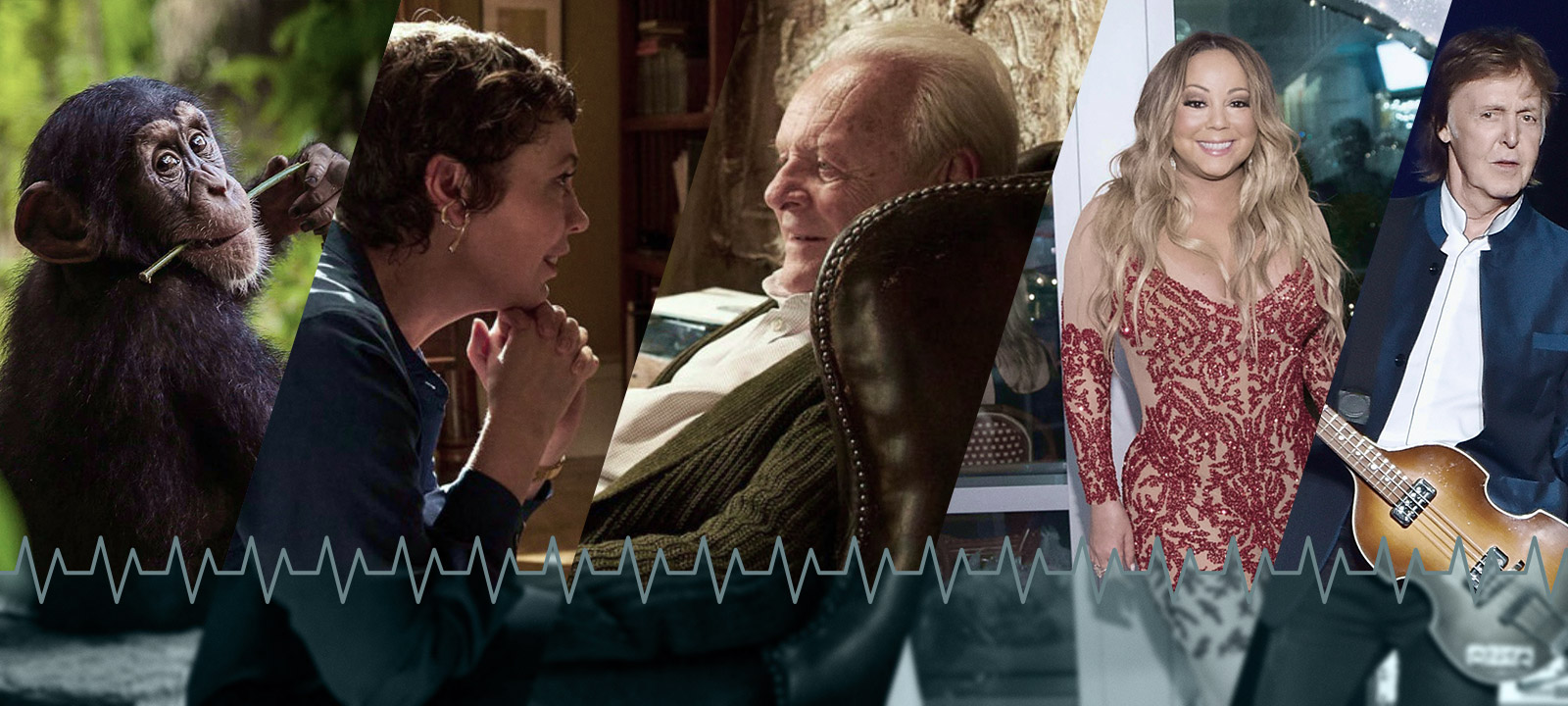 Pop Culture Pulse: From 'Baby Chimp Rescue' to Sir Anthony Hopkins and Olivia Colman in 'The Father' | Anglophenia | BBC America