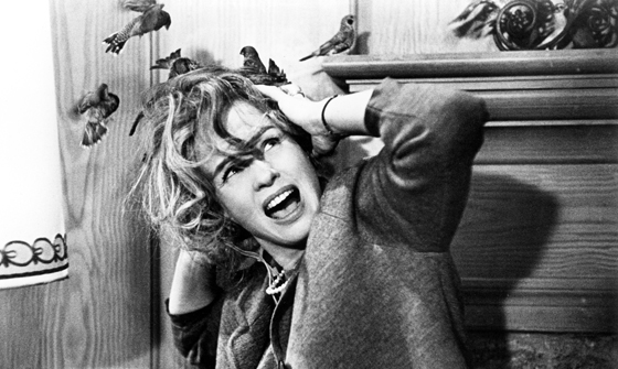 Zombie Authority Helen Matthews Watches<i> Pumpkinhead</i> While Grading Papers