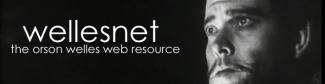 Site of the Week – Wellesnet