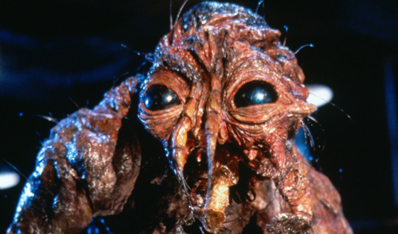 Cronenberg Knows How Much Damage a Common Housefly Causes