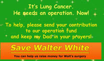 Visit SaveWalterWhite.com