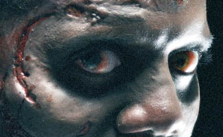 <em>The Walking Dead</em>‘s Walkers Give <em>EW</em> Nightmares, Robert Kirkman Talks to <em>NY Magazine</em>