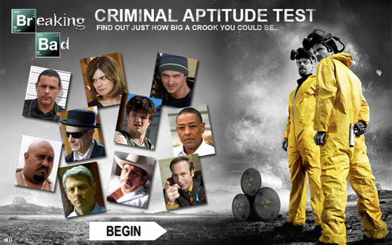 <em>Breaking Bad</em> Criminal Aptitude Test – What the Results Tell Us