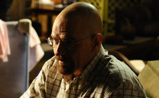 <em>Breaking Bad</em> Nabs Two Satellite Awards