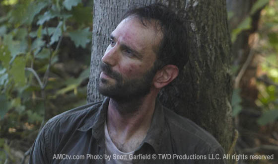 Q&A – Andrew Rothenberg (Jim)