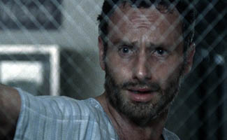 What You’re Saying About Your Zombie Survival Plans