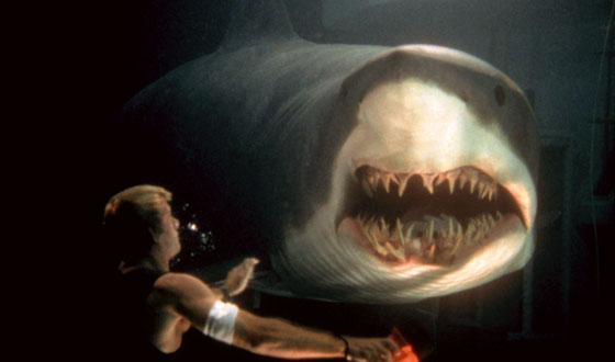 Blogs - Jaws Might Be the Scariest Creature Awaiting You in the Water ...