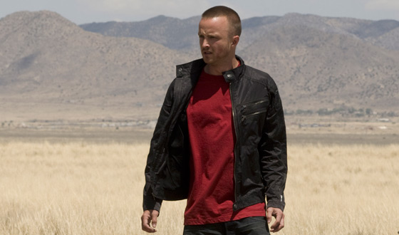 <em>Breaking Bad</em> Season 4 Episode 10, “Salud” – Online Extras