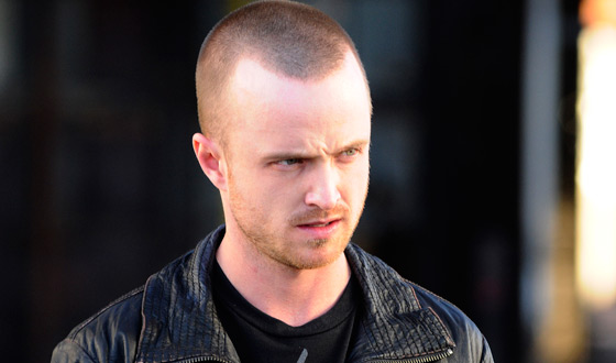 Aaron Paul norman reedus