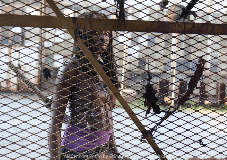 Michonne (Danai Gurira) in Episode 5 of The Walking Dead