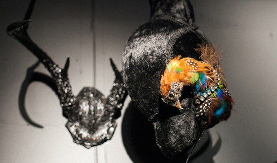 Get Ready for <em>Immortalized</em> With Photos From the Immortal Love Pop-up Experience
