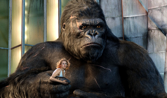 Blogs Story Notes For King Kong Amc