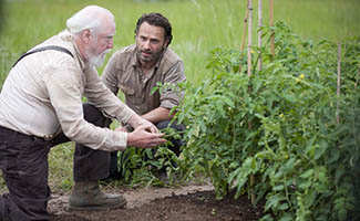 <em>The Walking Dead</em> Online Course – Nutrition