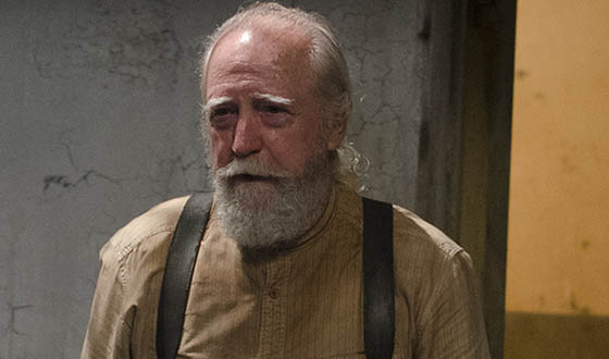 scott wilson interview