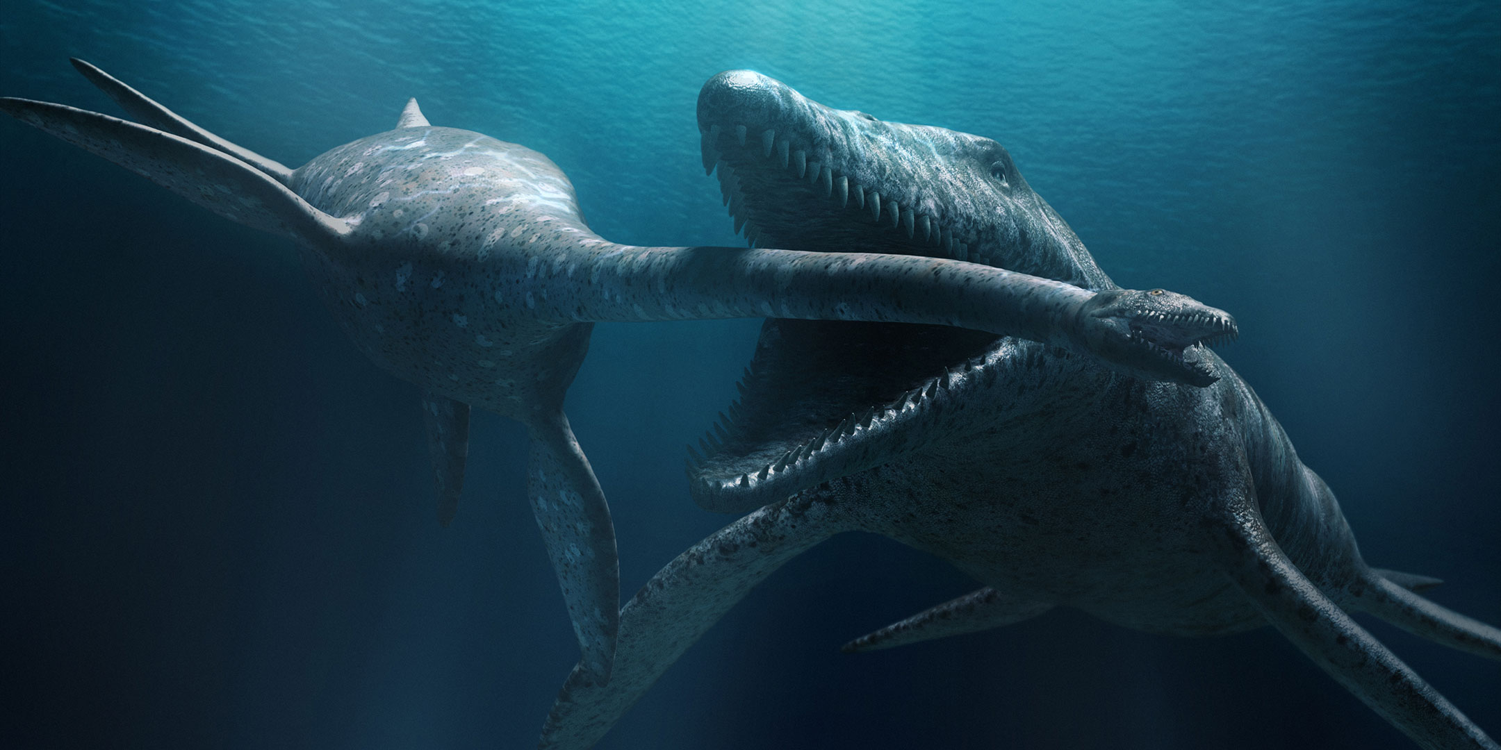 SEA MONSTERS 3D: A PREHISTORIC ADVENTURE WITH FLYING MONSTERS 3D