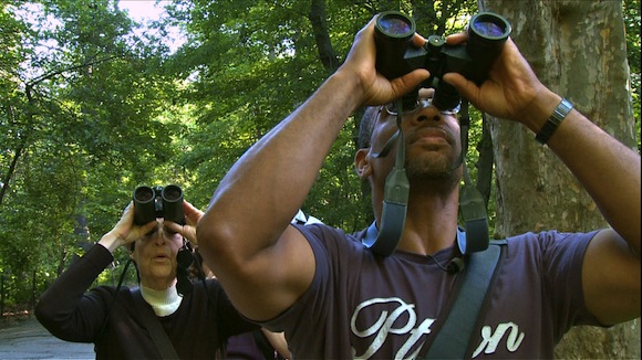 BIRDERS: THE CENTRAL PARK EFFECT