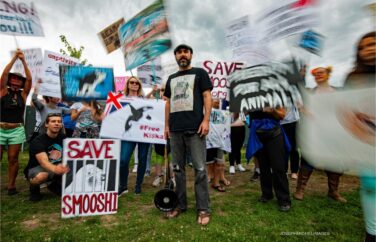 A man with a megaphone stands still in the middle of a crowd of people with signs to "Save Smooshi."