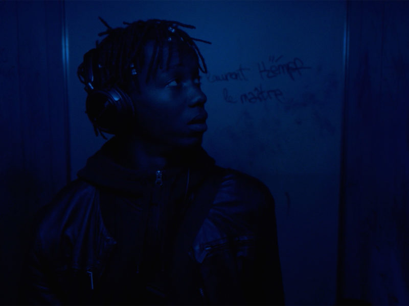 Shorts_Bonobo_1920x1080