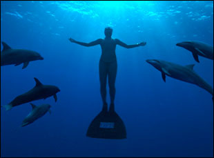 Sundance 2009: “The Cove.” (photo)