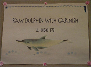 Tokyo versus “The Cove.” (photo)