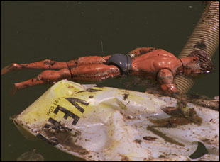 Drowning in Work (photo)