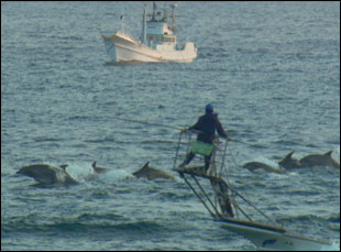 The Cinema Eyes love “The Cove.” (photo)