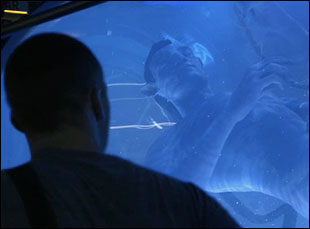 Something Borrowed, Something Blue (photo)