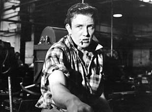 Alan Sillitoe, 1928-2010. (photo)