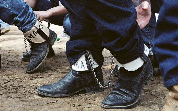 Not Bradley Beesley’s First Rodeo (photo)