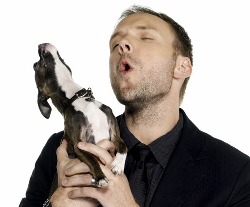 Joel McHale: Host Of The Spirit Awards, Director Of Cat Films (photo)