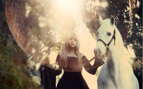 Stevie Nicks “In Your Dreams” (photo)