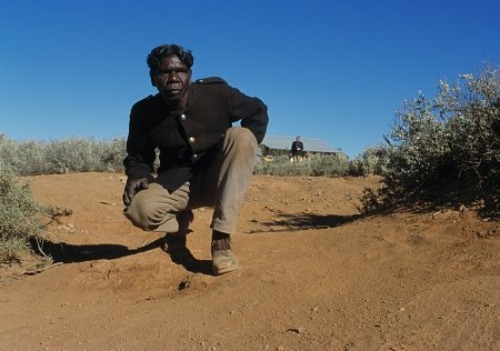 Five David Gulpili Films You Should See (photo)