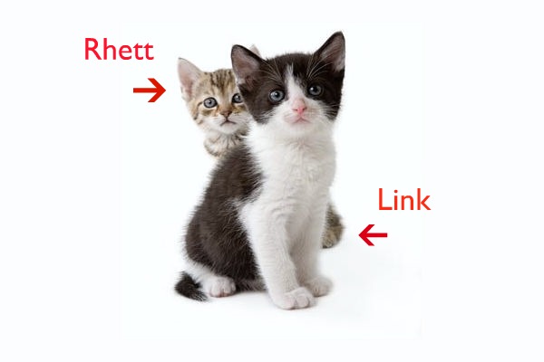 Rhett & Link Meet the Cat Man (photo)