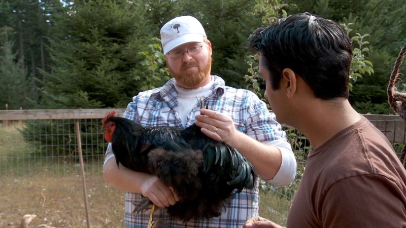 chicken-portlandia-mpx